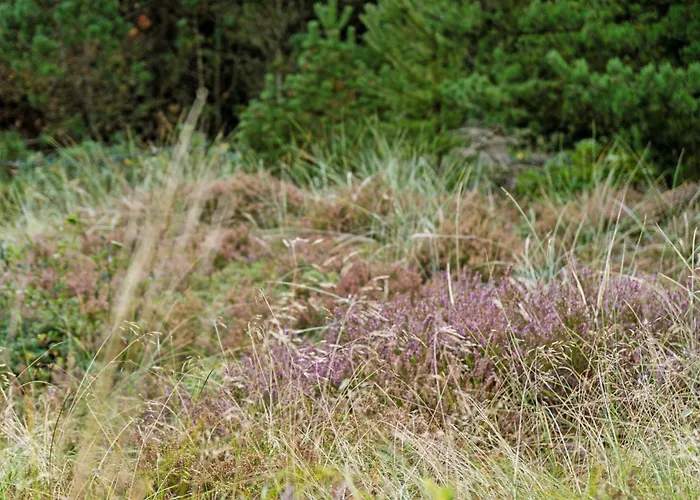 Сasa de vacaciones 1145